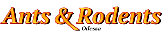 Odessa Ant Exterminator & Rodent Control Company Logo